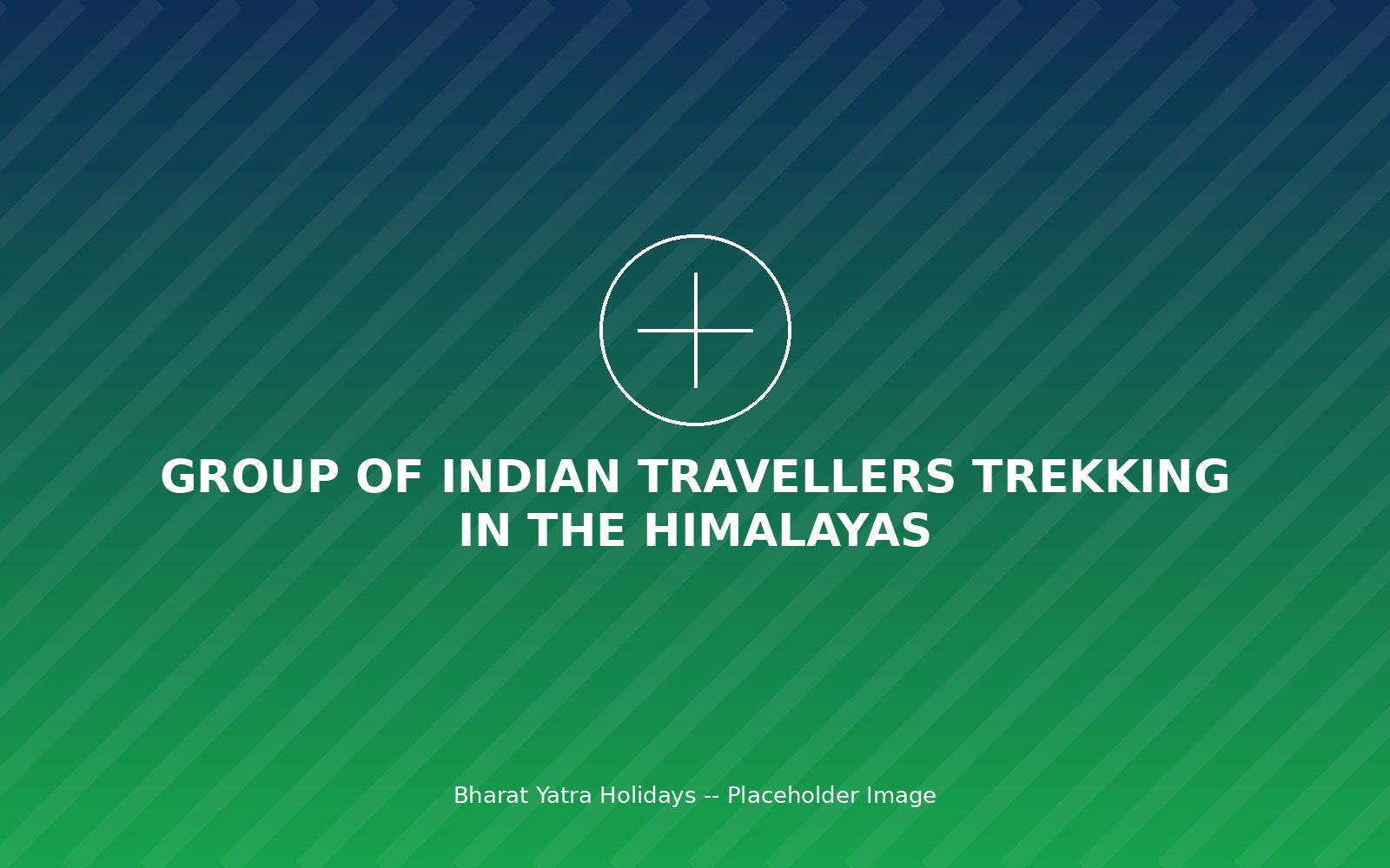 Group of Indian travellers trekking in the Himalayas