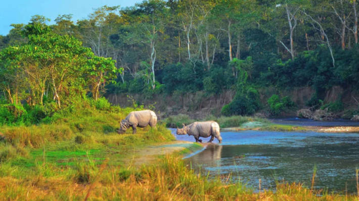 Chitwan Tour Package - National park